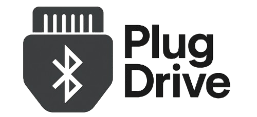 PlugDrive